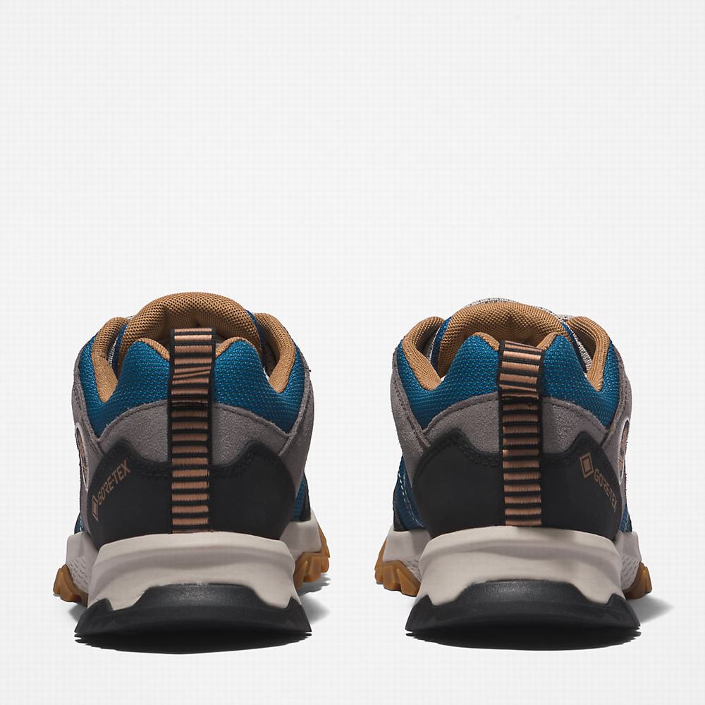 Dámské Trekové Boty Timberland Lincoln Peak Gore-Tex® Low Hiker Šedé | TI51406-980