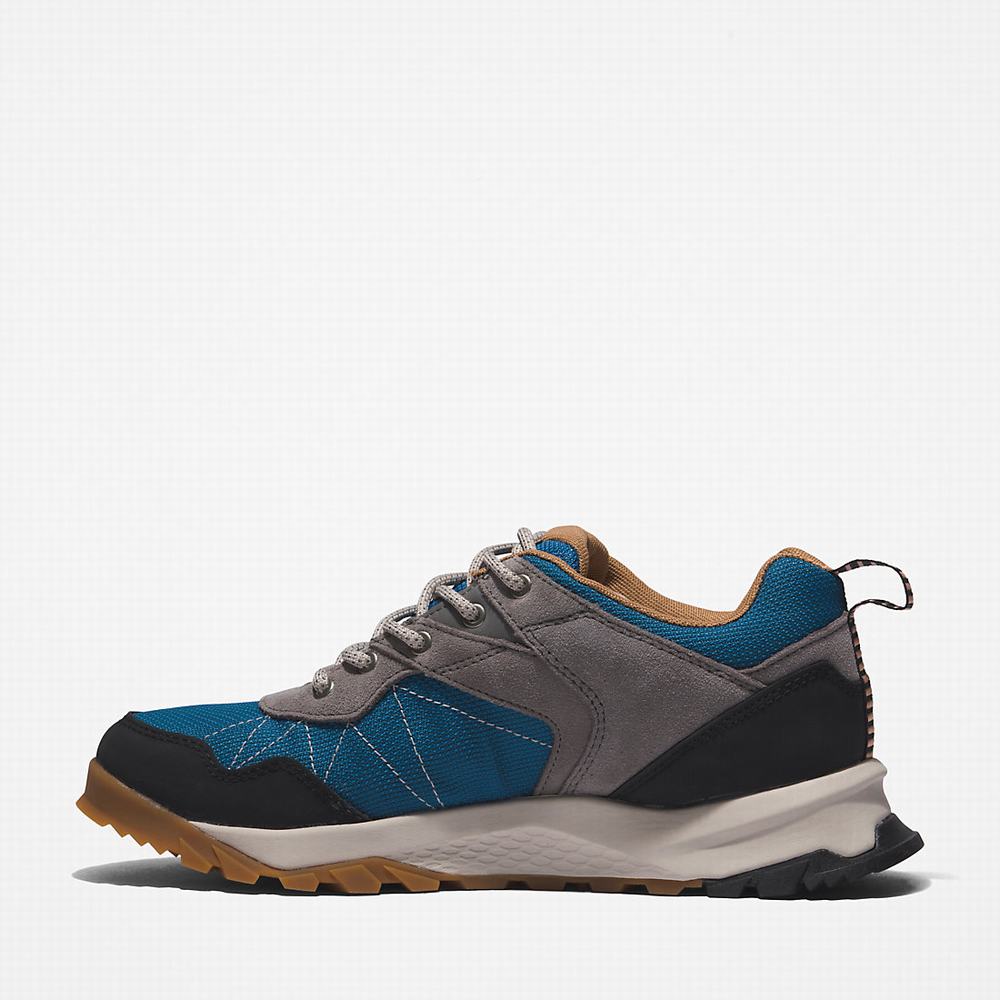 Dámské Trekové Boty Timberland Lincoln Peak Gore-Tex® Low Hiker Šedé | TI51406-980