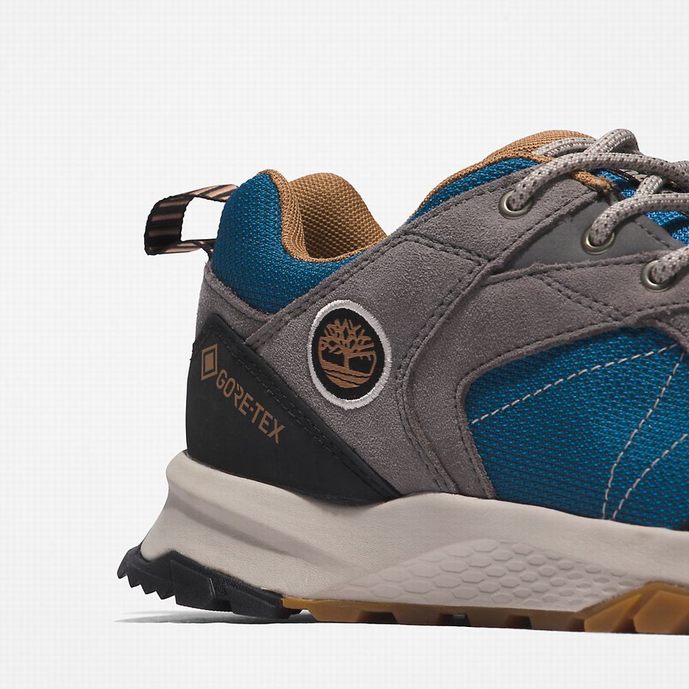 Dámské Trekové Boty Timberland Lincoln Peak Gore-Tex® Low Hiker Šedé | TI51406-980