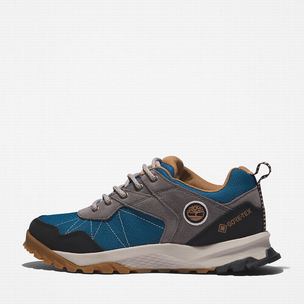 Dámské Trekové Boty Timberland Lincoln Peak Gore-Tex® Low Hiker Šedé | TI51406-980