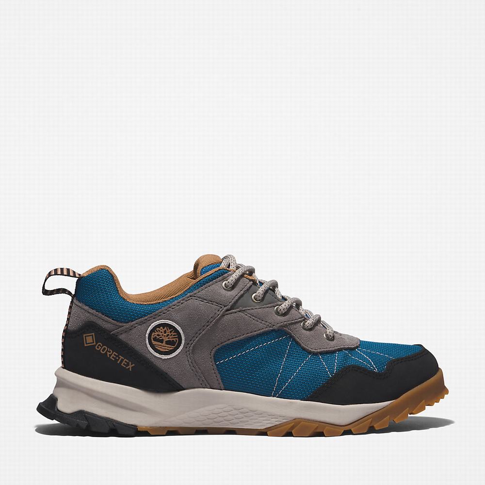 Dámské Trekové Boty Timberland Lincoln Peak Gore-Tex® Low Hiker Šedé | TI51406-980