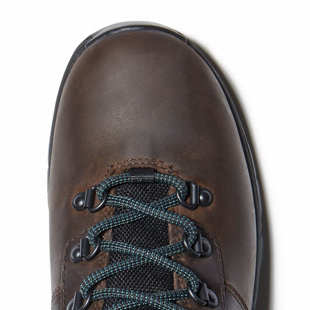 Dámské Trekové Boty Timberland Mount Maddsen Hiker Tmavě Hnědé | TI23719-341