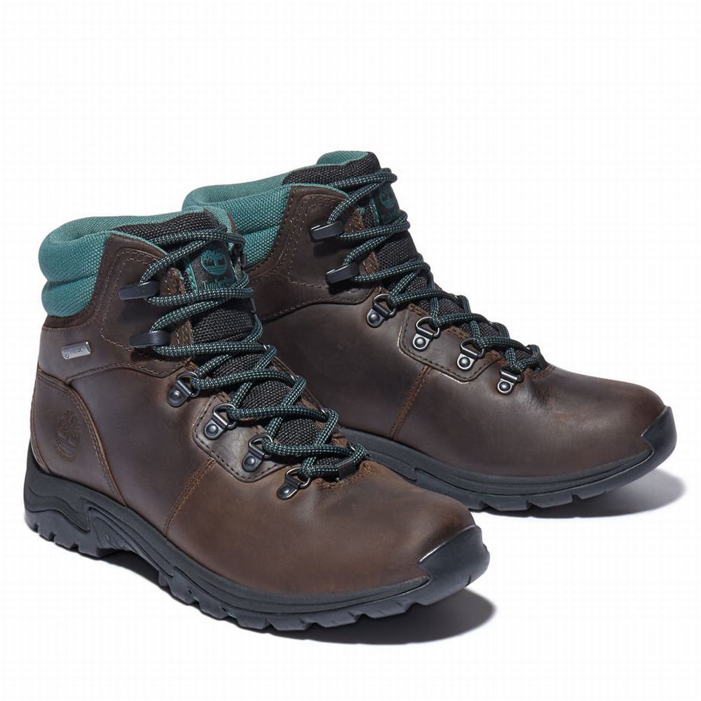 Dámské Trekové Boty Timberland Mount Maddsen Hiker Tmavě Hnědé | TI23719-341