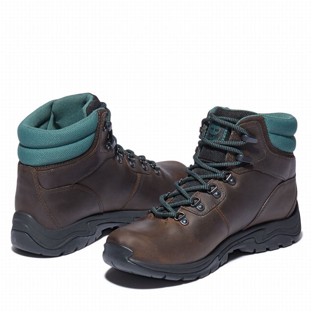 Dámské Trekové Boty Timberland Mount Maddsen Hiker Tmavě Hnědé | TI23719-341