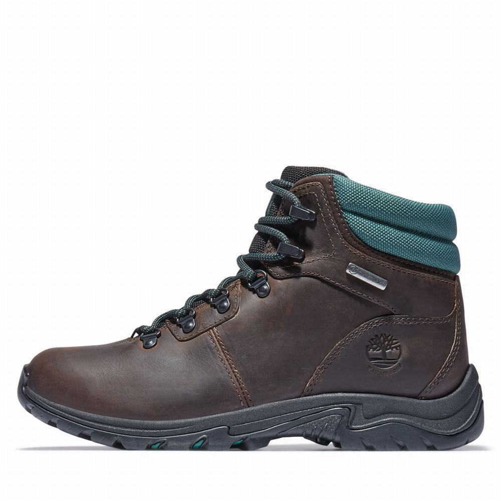 Dámské Trekové Boty Timberland Mount Maddsen Hiker Tmavě Hnědé | TI23719-341