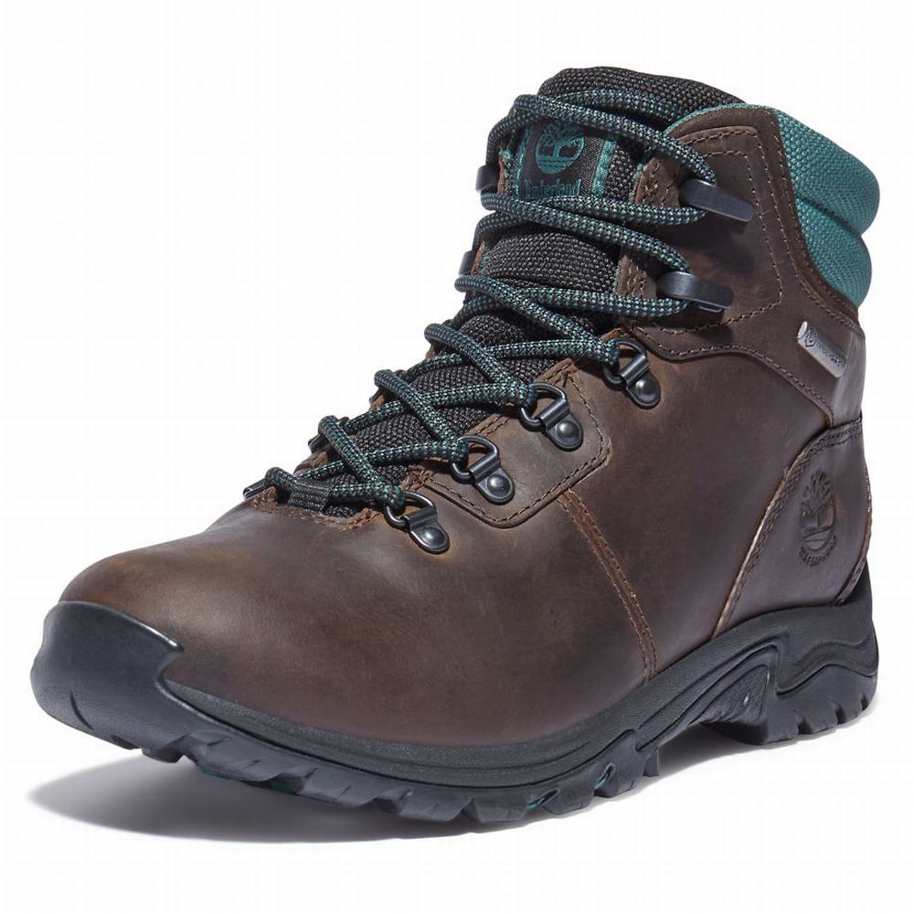 Dámské Trekové Boty Timberland Mount Maddsen Hiker Tmavě Hnědé | TI23719-341