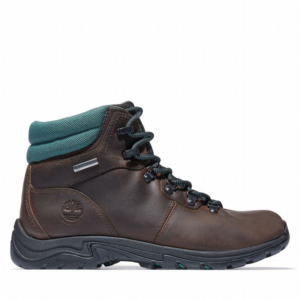 Dámské Trekové Boty Timberland Mount Maddsen Hiker Tmavě Hnědé | TI23719-341