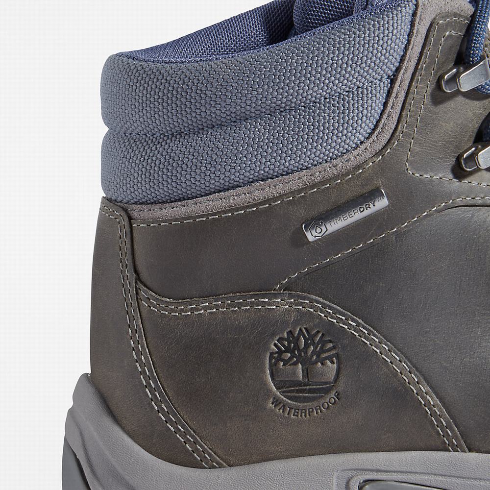 Dámské Trekové Boty Timberland Mount Maddsen Hiker Šedé | TI61987-745
