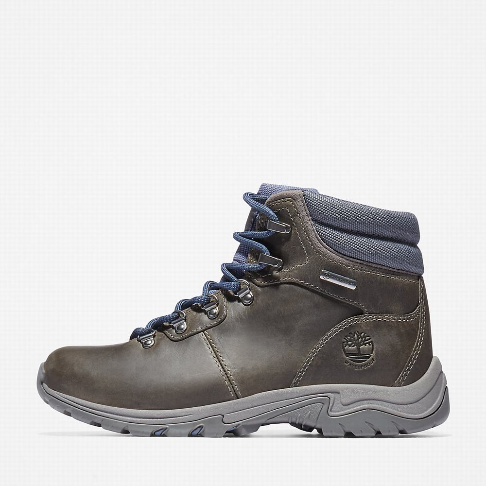 Dámské Trekové Boty Timberland Mount Maddsen Hiker Šedé | TI61987-745