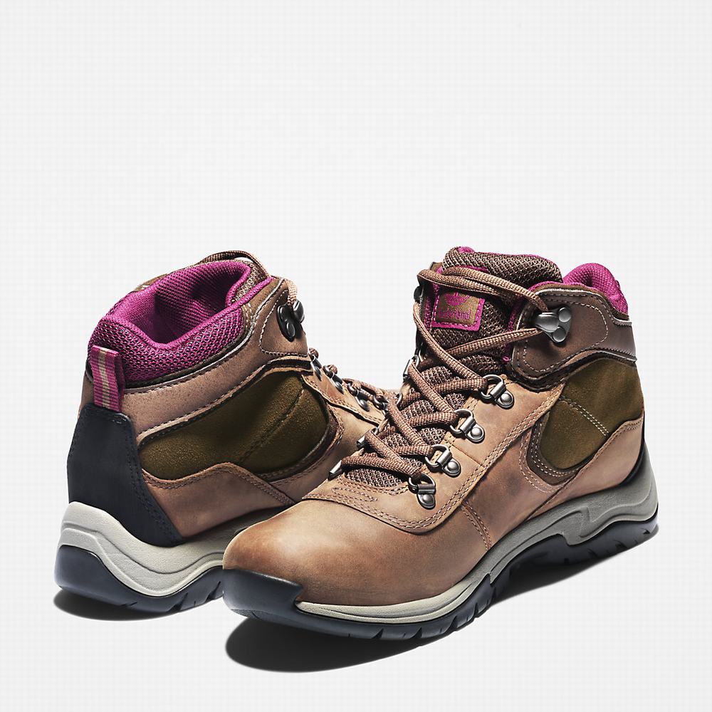 Dámské Trekové Boty Timberland Mt. Maddsen Hnědé | TI94856-134