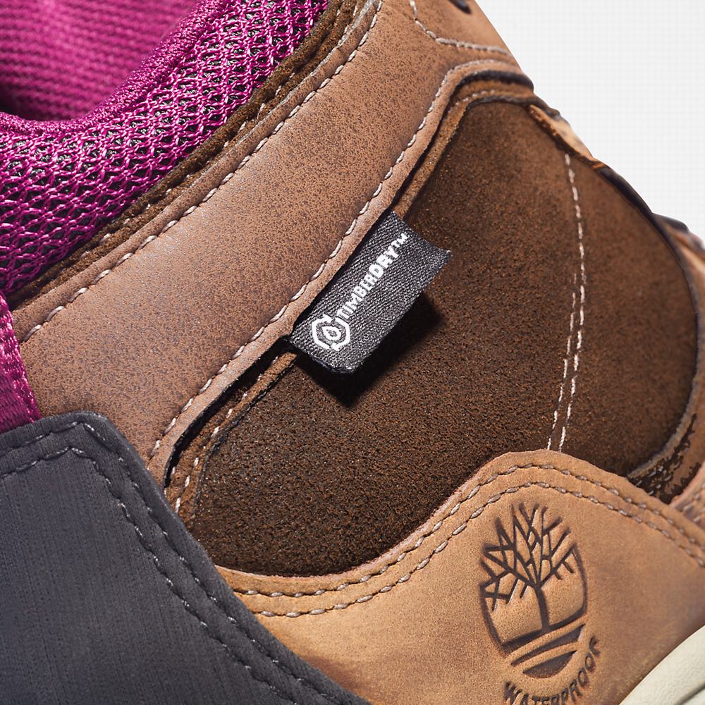 Dámské Trekové Boty Timberland Mt. Maddsen Hnědé | TI94856-134
