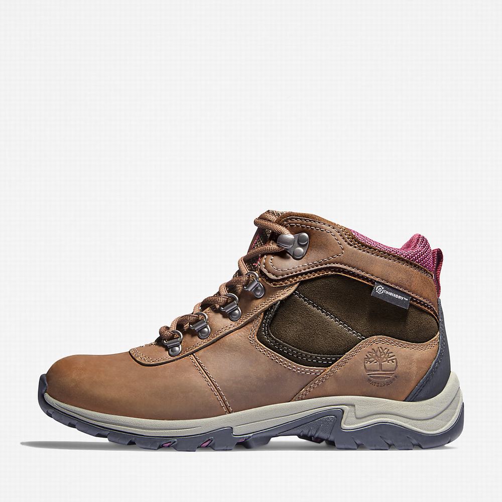 Dámské Trekové Boty Timberland Mt. Maddsen Hnědé | TI94856-134