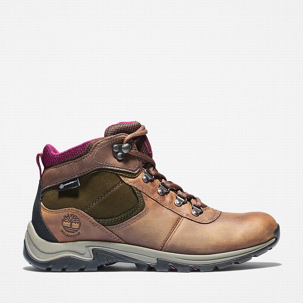 Dámské Trekové Boty Timberland Mt. Maddsen Hnědé | TI94856-134