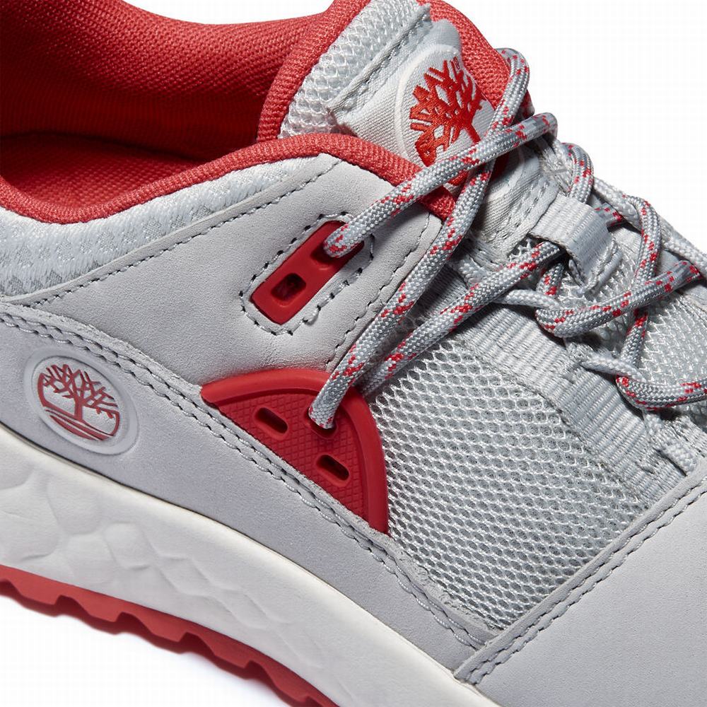Dámské Trekové Boty Timberland Solar Wave Hiker Světle Šedé | TI50682-531