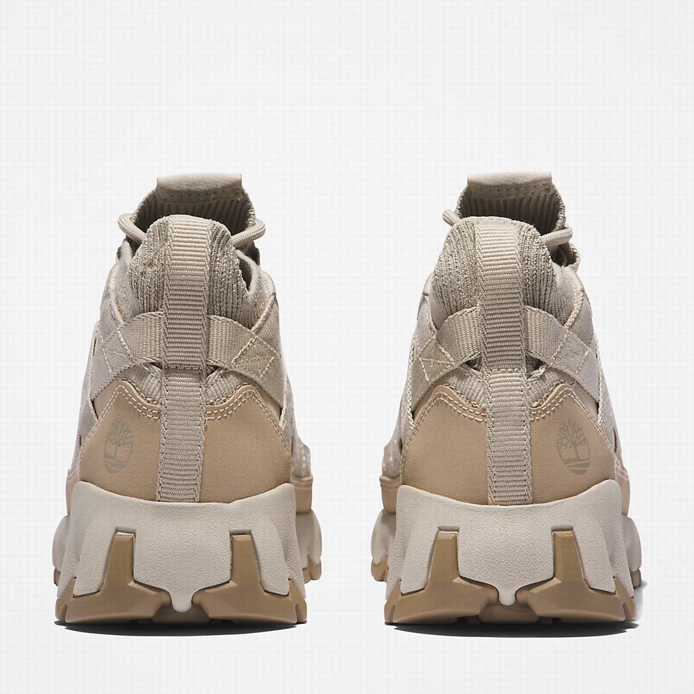 Dámské Trekové Boty Timberland TBL® Edge EK+ Béžový | TI21945-856