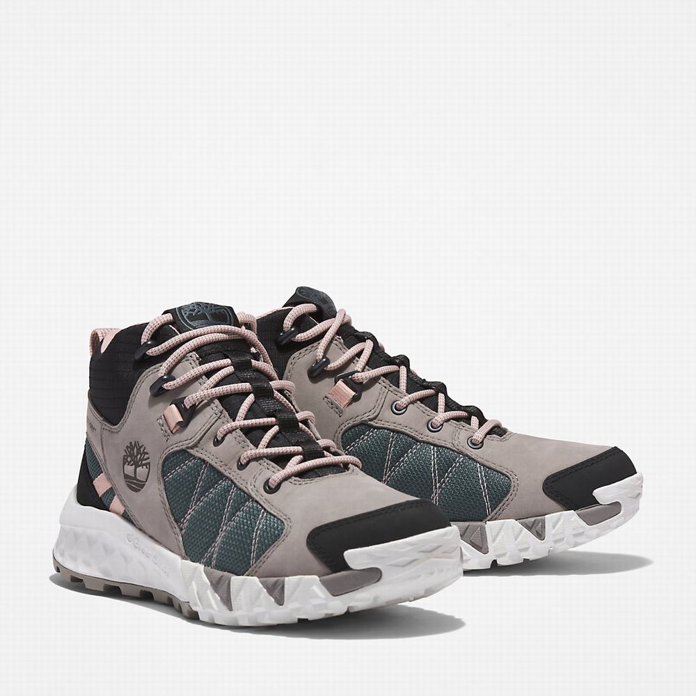 Dámské Trekové Boty Timberland Trailquest Hiker Šedé | TI49165-405