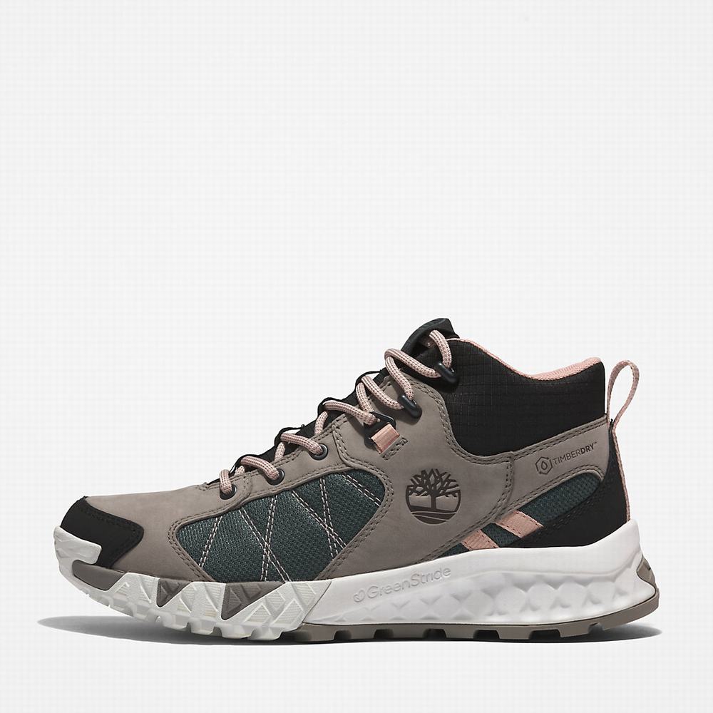 Dámské Trekové Boty Timberland Trailquest Hiker Šedé | TI49165-405