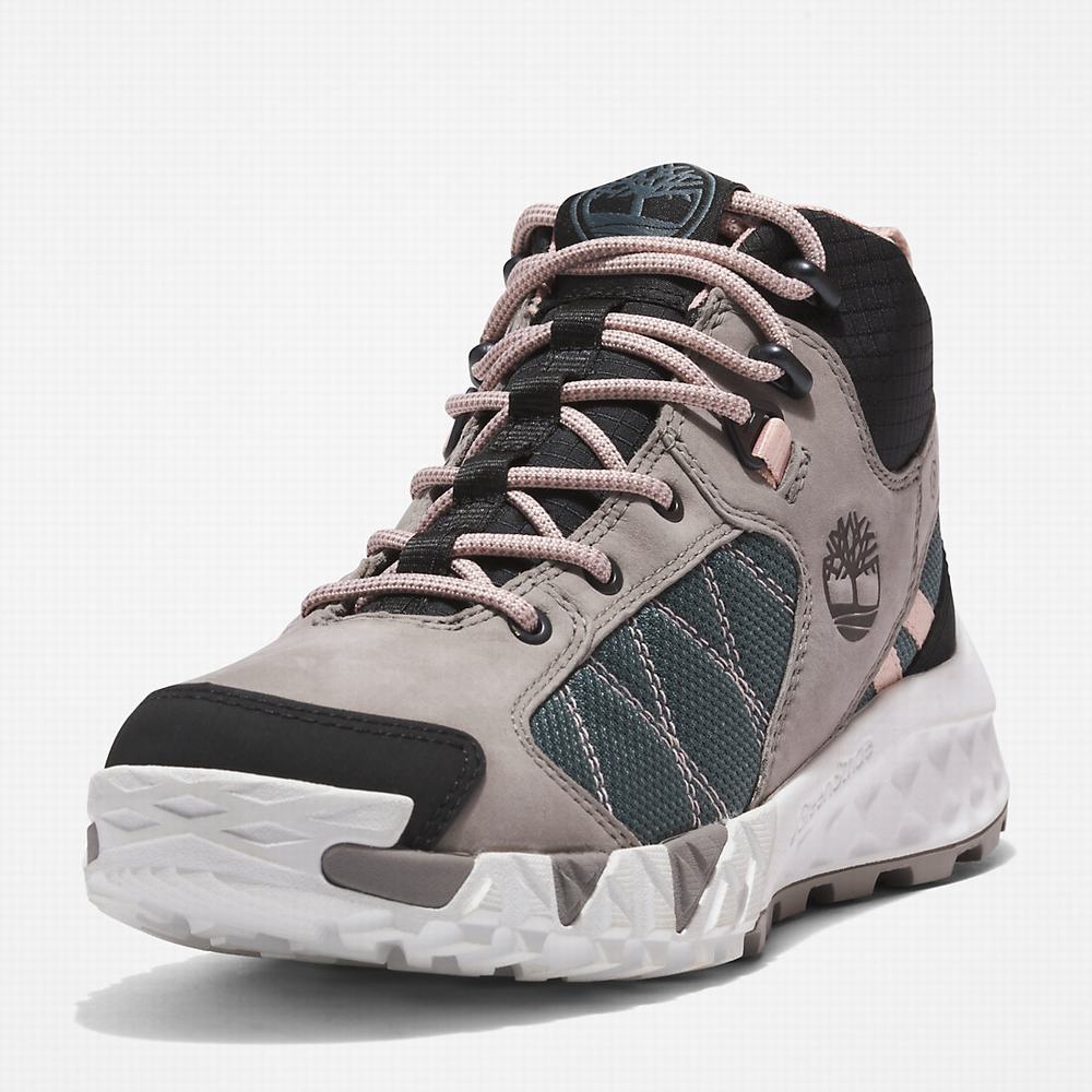 Dámské Trekové Boty Timberland Trailquest Hiker Šedé | TI49165-405