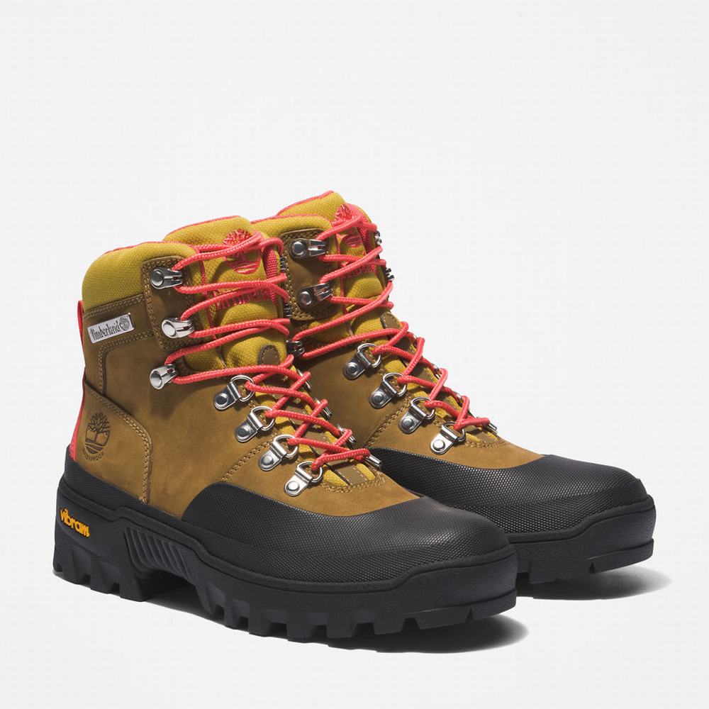 Dámské Trekové Boty Timberland Vibram® Waterproof Světle Hnědé | TI10769-381