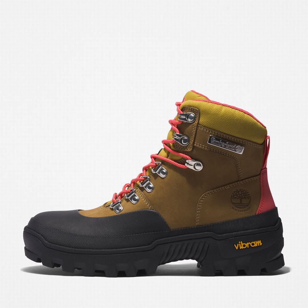 Dámské Trekové Boty Timberland Vibram® Waterproof Světle Hnědé | TI10769-381
