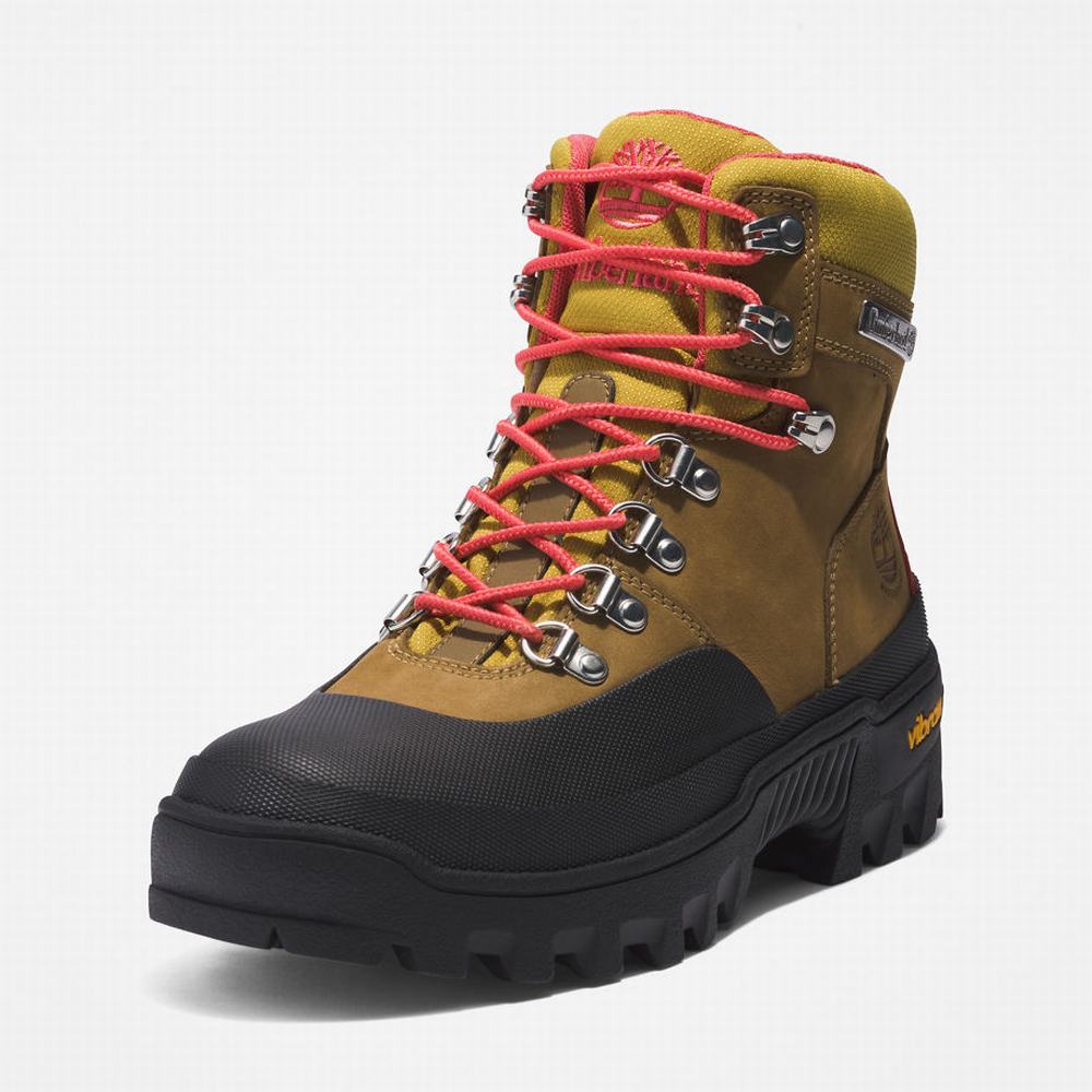 Dámské Trekové Boty Timberland Vibram® Waterproof Světle Hnědé | TI10769-381