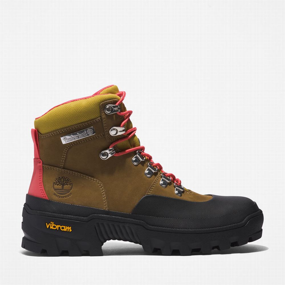 Dámské Trekové Boty Timberland Vibram® Waterproof Světle Hnědé | TI10769-381