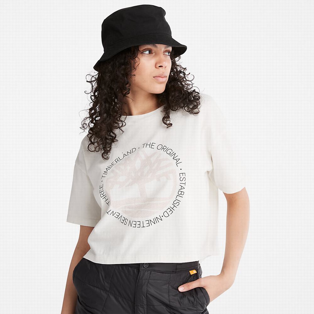 Dámské Tričko Timberland Cropped Logo T-Shirt Bílé | TI26415-586