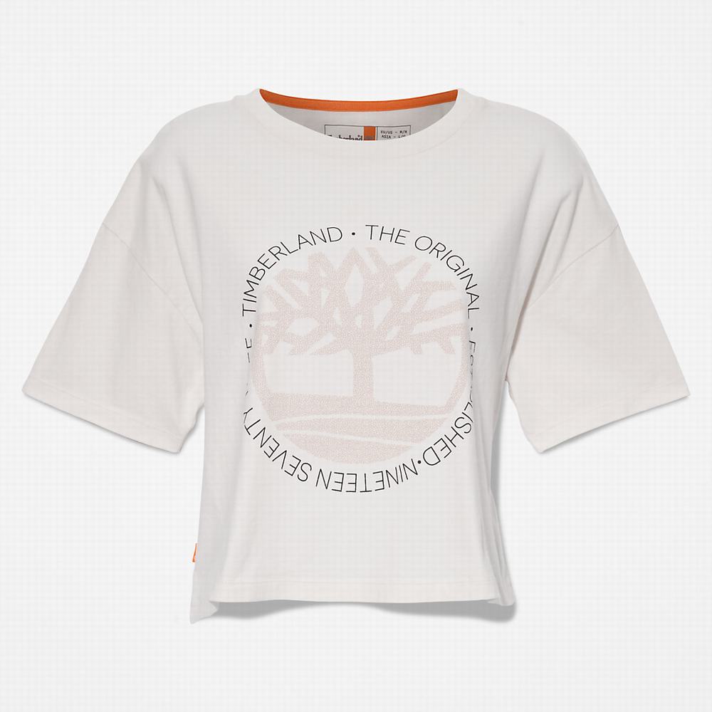Dámské Tričko Timberland Cropped Logo T-Shirt Bílé | TI26415-586