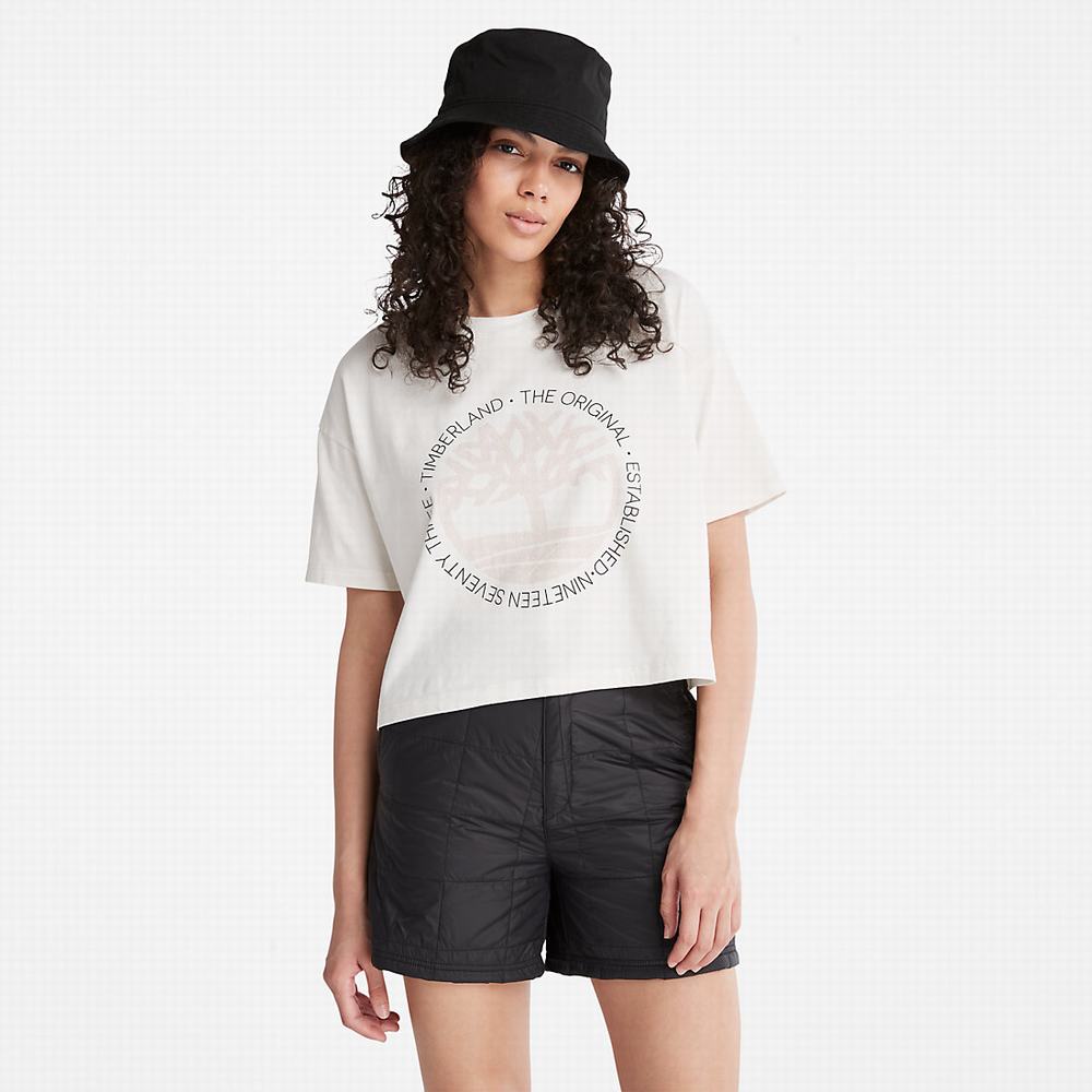 Dámské Tričko Timberland Cropped Logo T-Shirt Bílé | TI26415-586