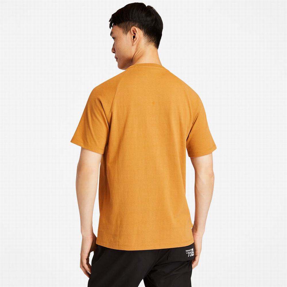 Dámské Tričko Timberland Heavyweight Logo T-Shirt Žluté | TI58129-814