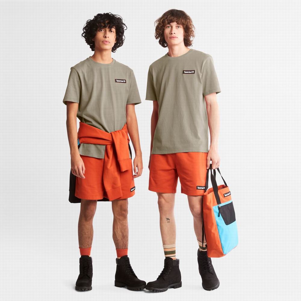 Dámské Tričko Timberland Heavyweight Logo T-Shirt Taupe | TI85037-510