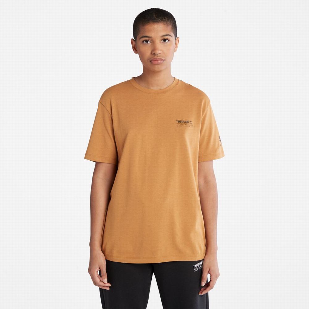 Dámské Tričko Timberland Luxe Pohodlí T-Shirt Hnědé | TI40751-385