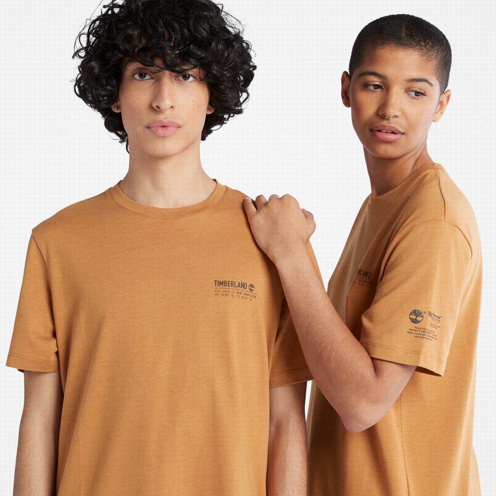 Dámské Tričko Timberland Luxe Pohodlí T-Shirt Hnědé | TI40751-385