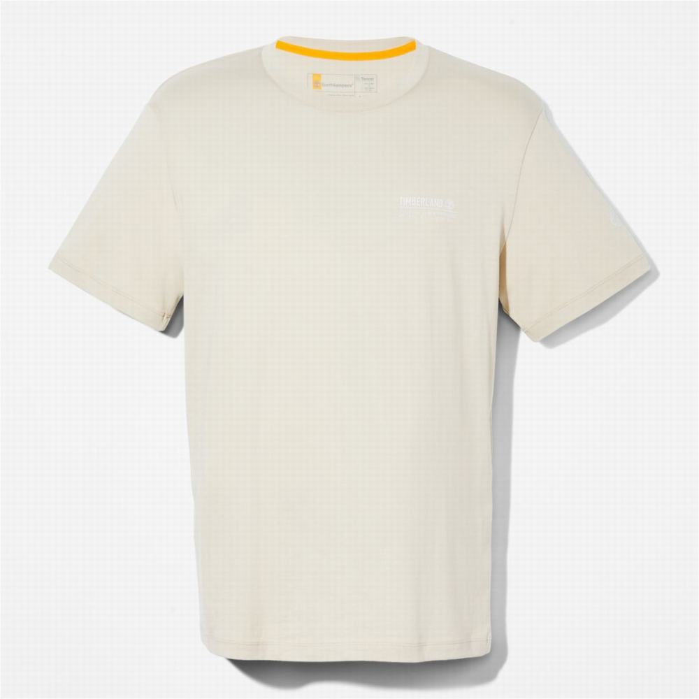 Dámské Tričko Timberland Luxe Pohodlí T-Shirt Taupe | TI54207-875