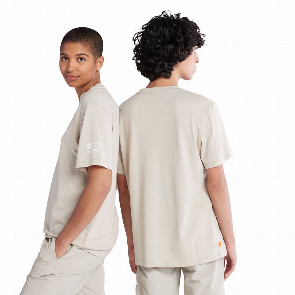 Dámské Tričko Timberland Luxe Pohodlí T-Shirt Taupe | TI54207-875