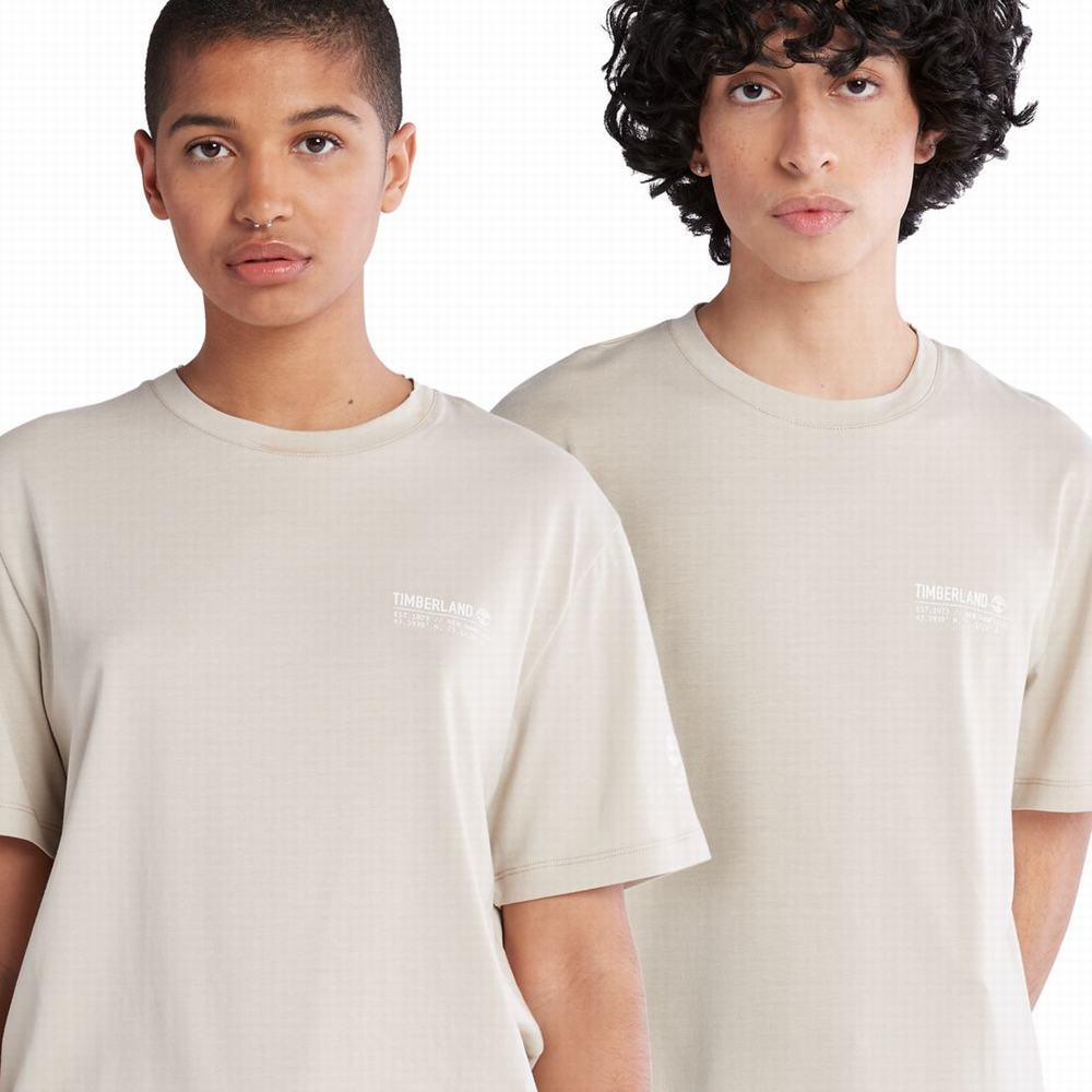 Dámské Tričko Timberland Luxe Pohodlí T-Shirt Taupe | TI54207-875