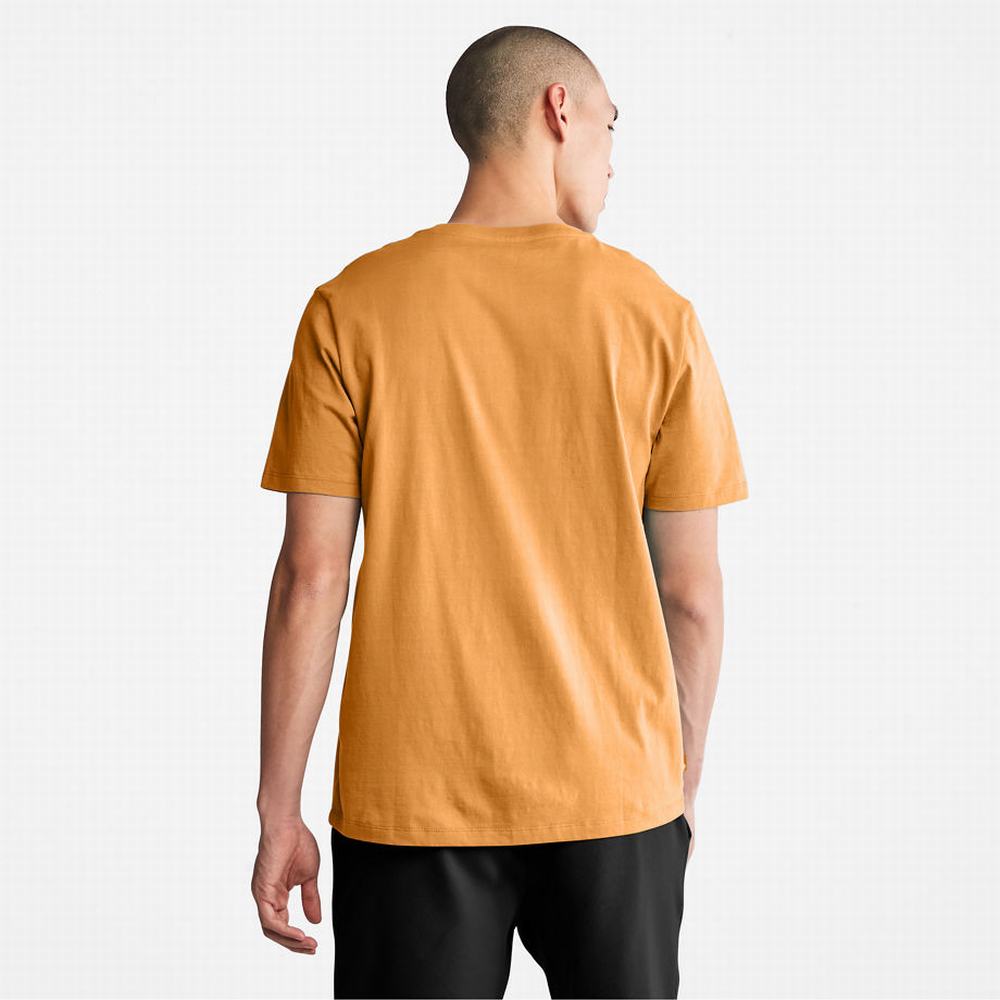Dámské Tričko Timberland Stack Logo T-Shirt Žluté | TI09237-837