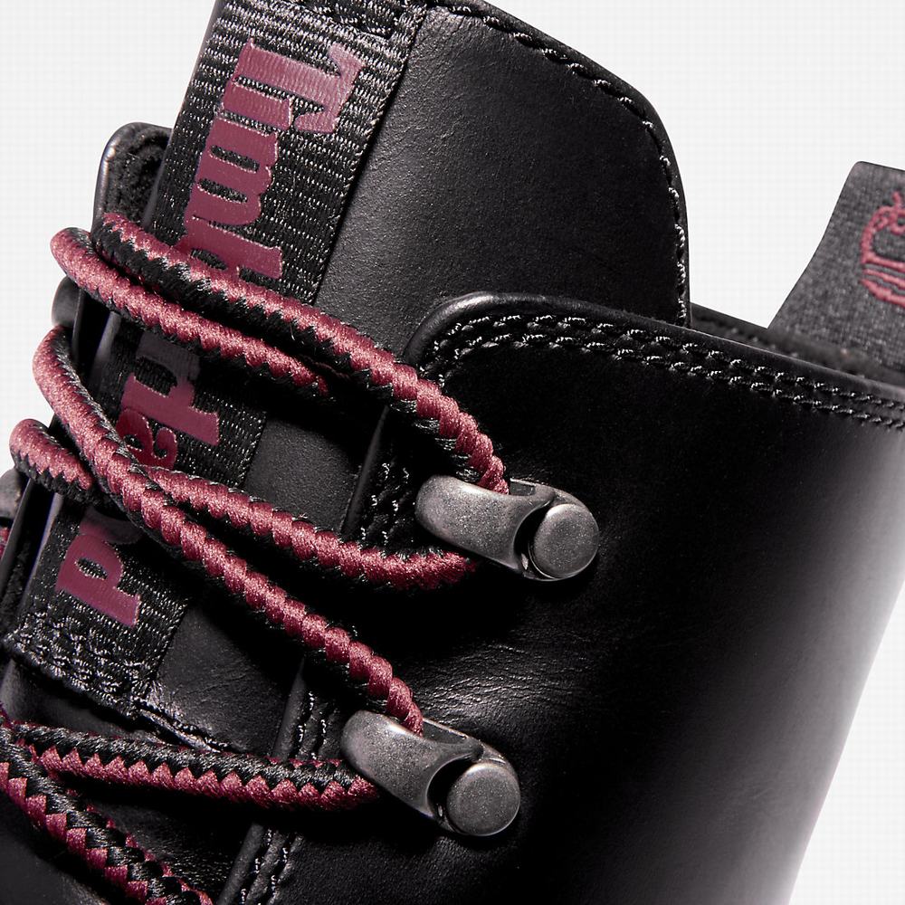 Dámské Zimní Boty Timberland Malynn EK+ Mid Lace-Up Černé | TI48135-320
