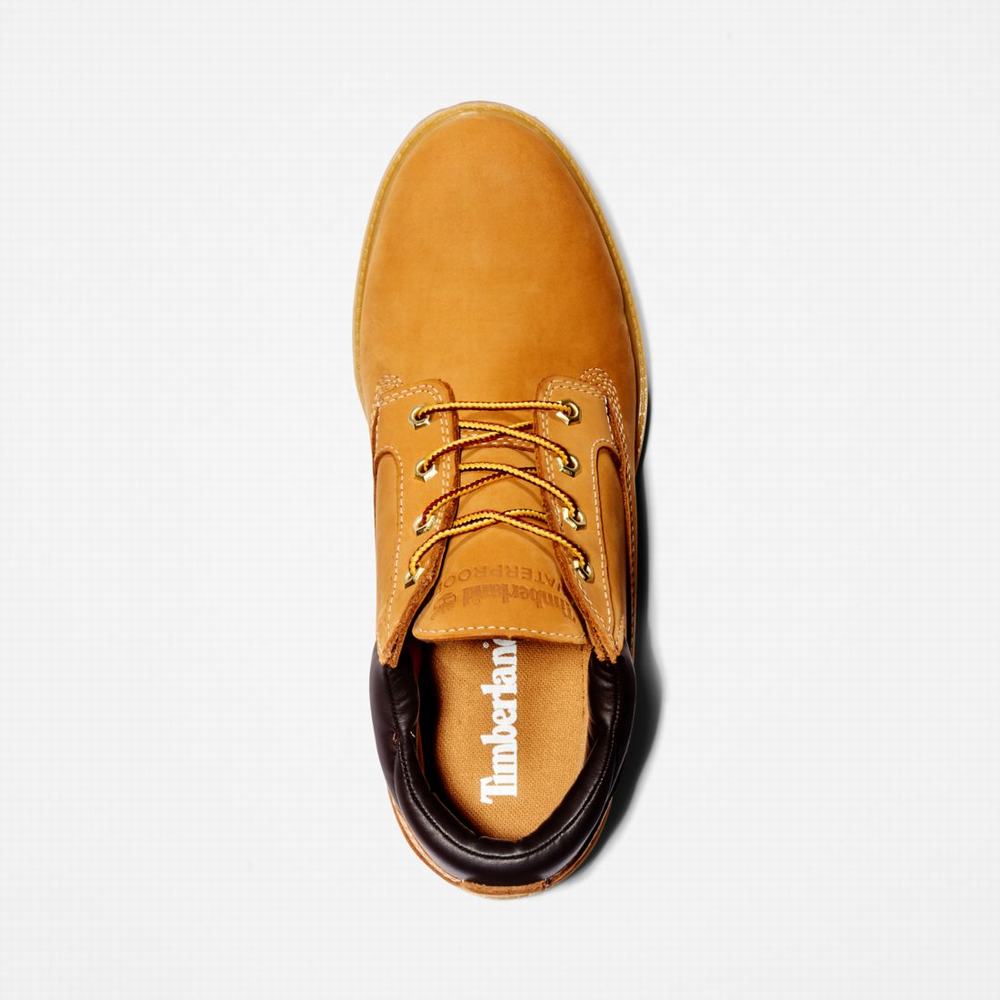 Dámské Zimní Boty Timberland Nellie Waterproof Hnědé | TI31579-796