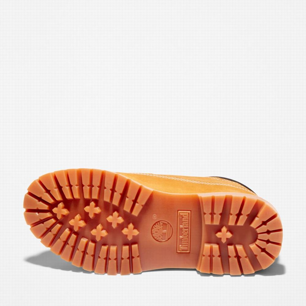Dámské Zimní Boty Timberland Nellie Waterproof Hnědé | TI31579-796