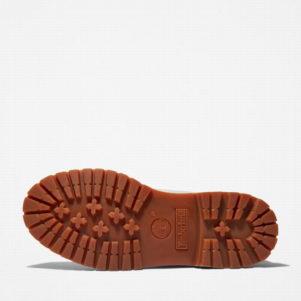 Dámské Zimní Boty Timberland Premium 6-Inch Waterproof Světle Šedé | TI53971-246