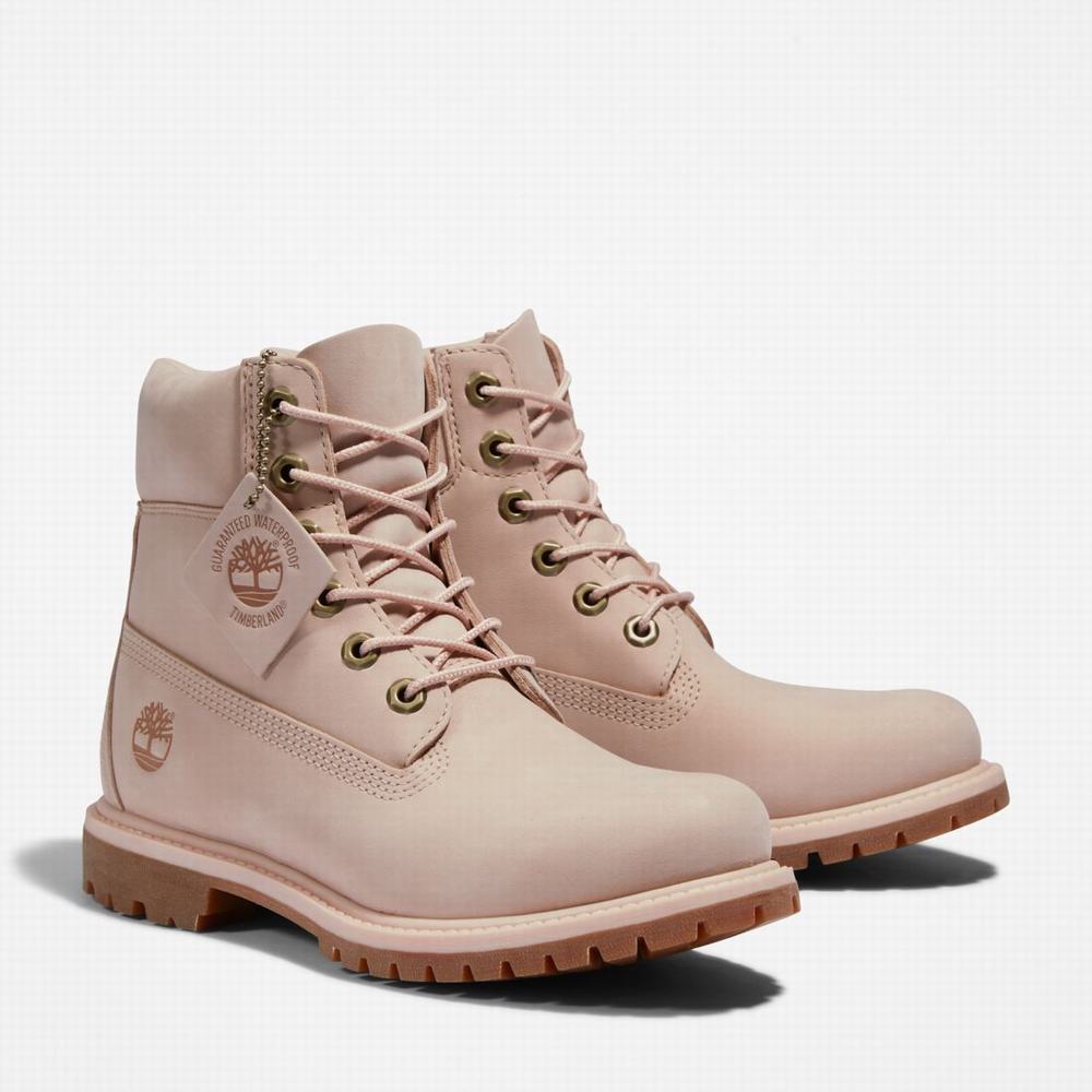 Dámské Zimní Boty Timberland Premium 6-Inch Waterproof Světle Růžové | TI94605-819