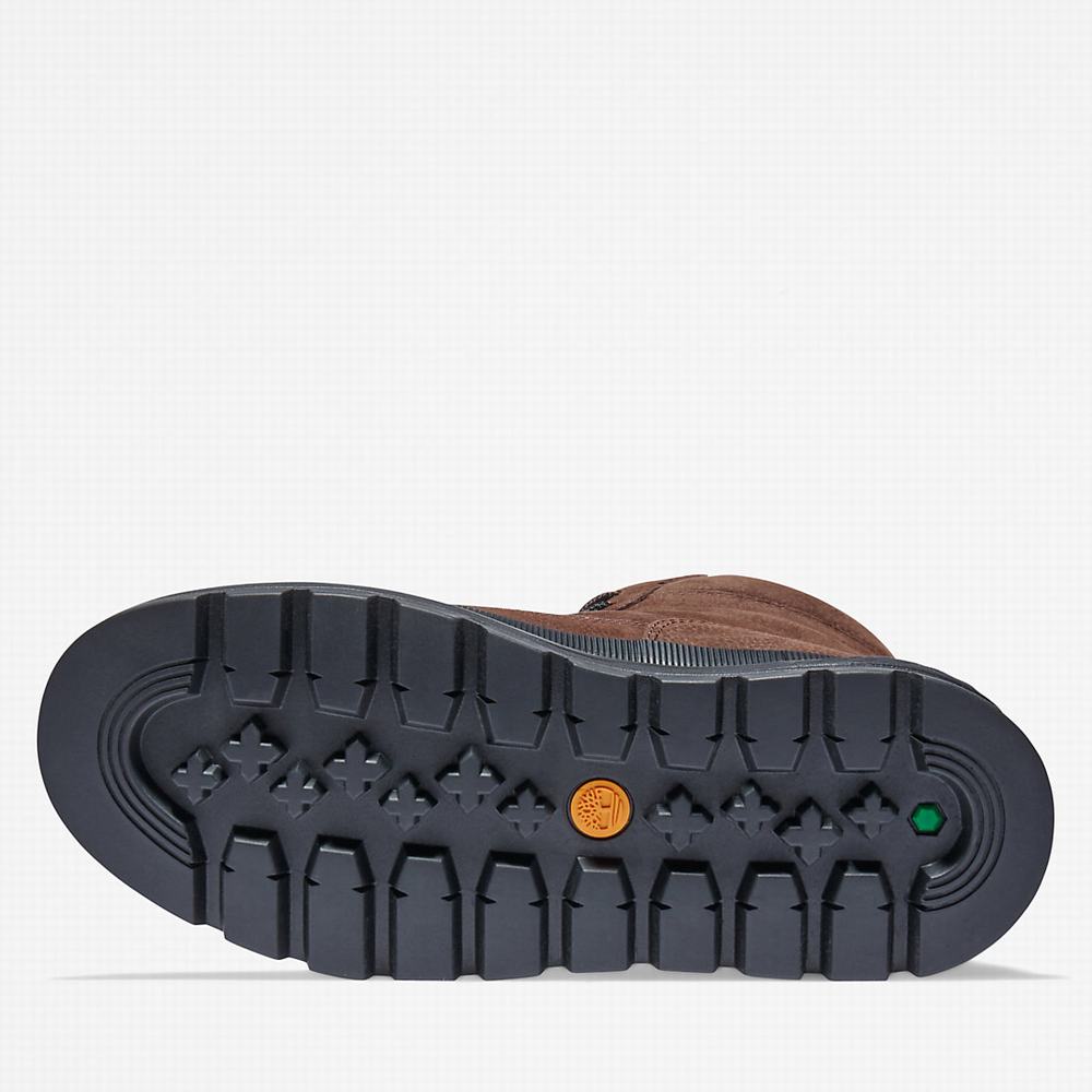 Dámské Zimní Boty Timberland Ray City EK+ 6 Inch Hnědé | TI24681-850