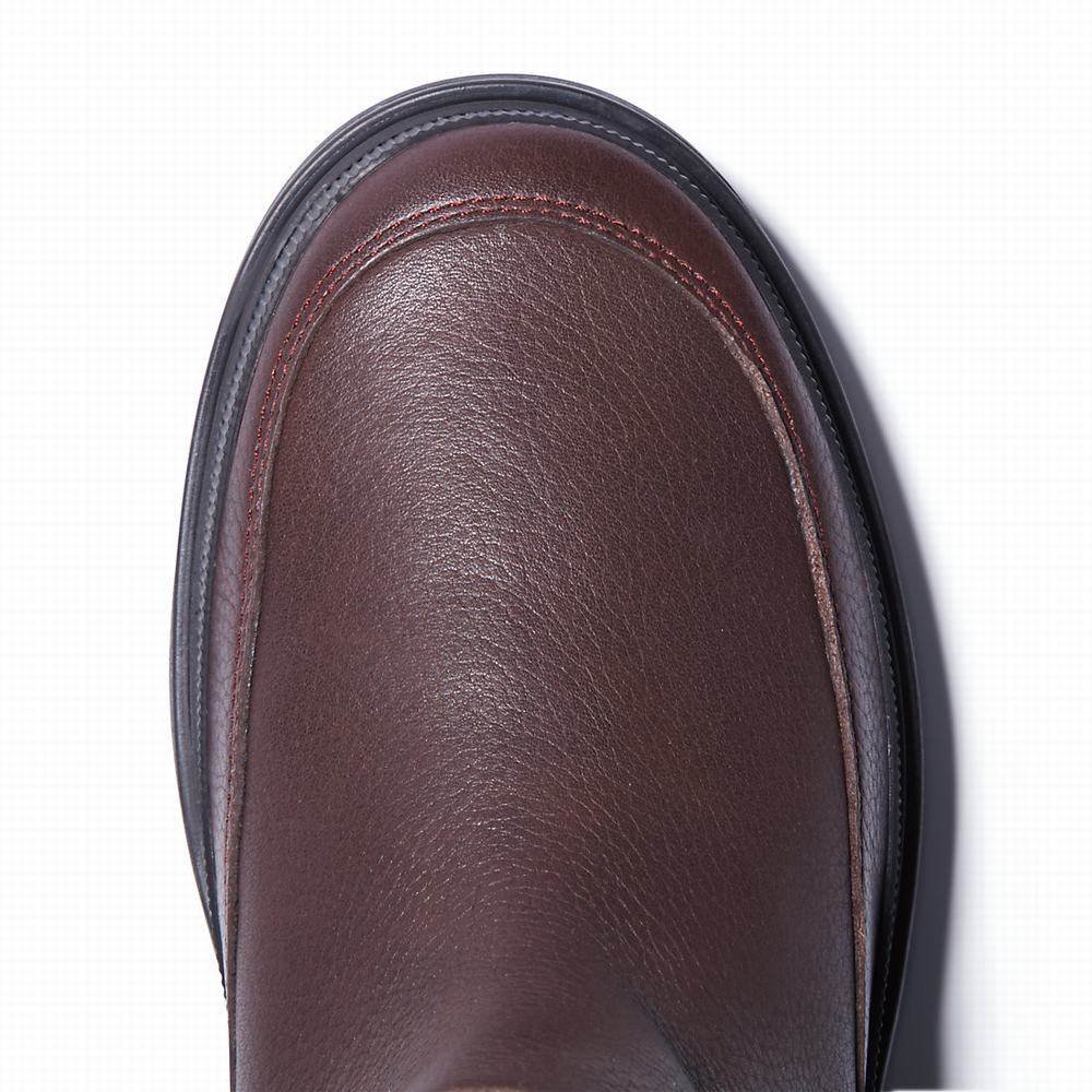 Dámské Zimní Boty Timberland Ray City Warm-lined Tmavě Hnědé | TI16042-971