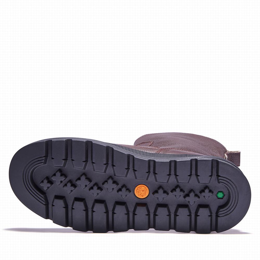Dámské Zimní Boty Timberland Ray City Warm-lined Tmavě Hnědé | TI16042-971
