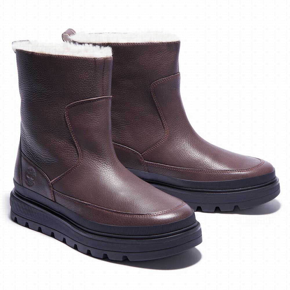 Dámské Zimní Boty Timberland Ray City Warm-lined Tmavě Hnědé | TI16042-971