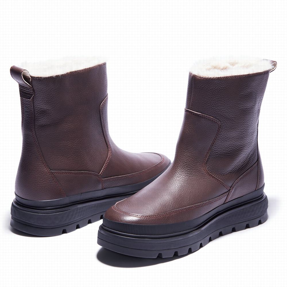 Dámské Zimní Boty Timberland Ray City Warm-lined Tmavě Hnědé | TI16042-971