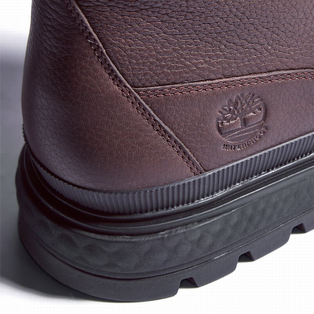 Dámské Zimní Boty Timberland Ray City Warm-lined Tmavě Hnědé | TI16042-971