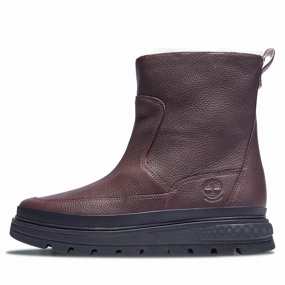 Dámské Zimní Boty Timberland Ray City Warm-lined Tmavě Hnědé | TI16042-971