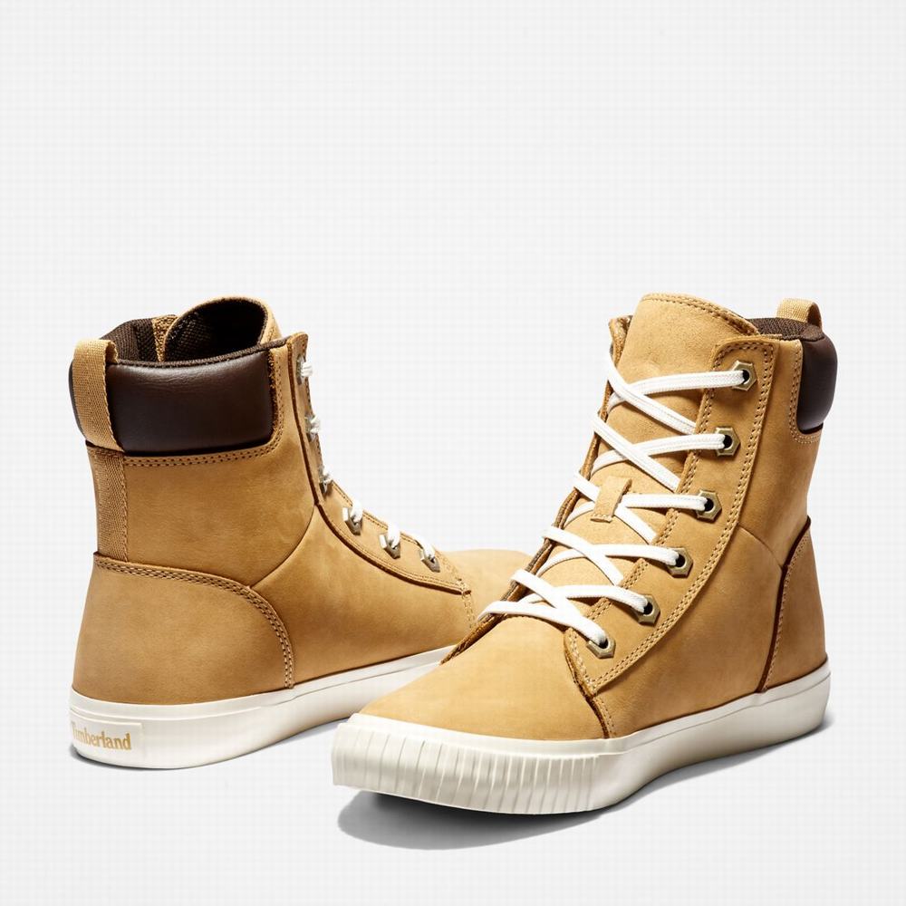 Dámské Zimní Boty Timberland Skyla Bay 6-Inch Hnědé | TI42036-971